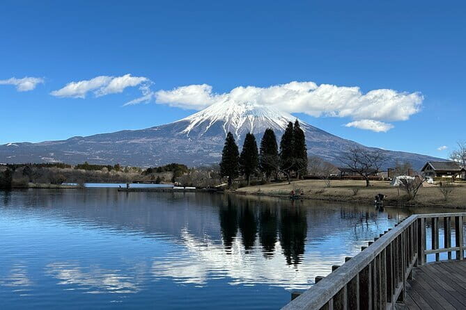 Mt.Fuji area Tour from Shimizu Port /Sedan Taxi - Why This Tour Offers Great Value