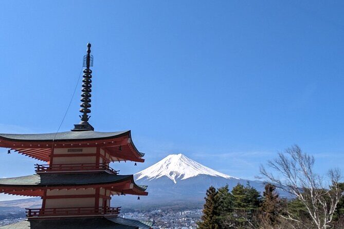 Mt. Fuji Day Trip from Tokyo with English Speaking Driver - Who Will Enjoy This Tour?