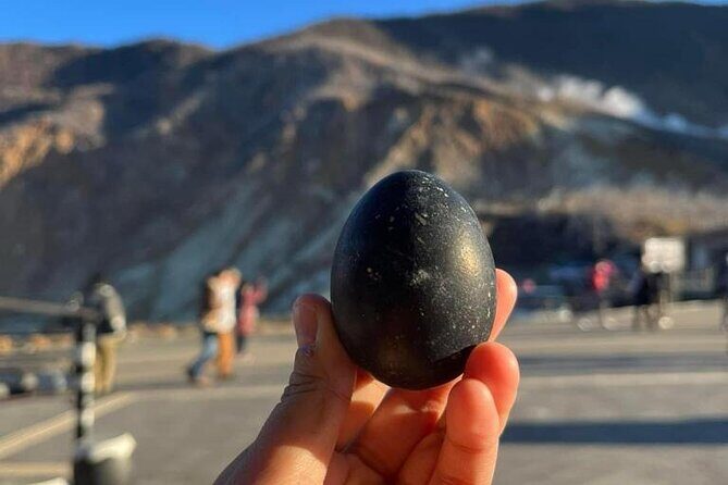 Mt. Fuji & Hakone Cherry Blossom private One Day Tour - What’s the Value?
