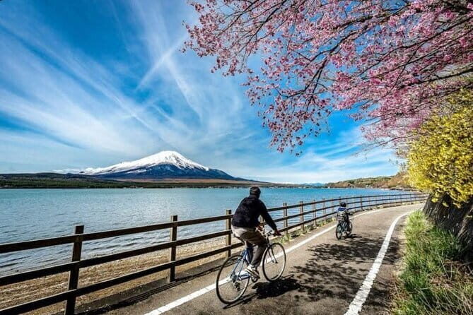 Mt fuji & Hakone customizable day tour w/ English speaking guide - The Practicalities: What You Need To Know