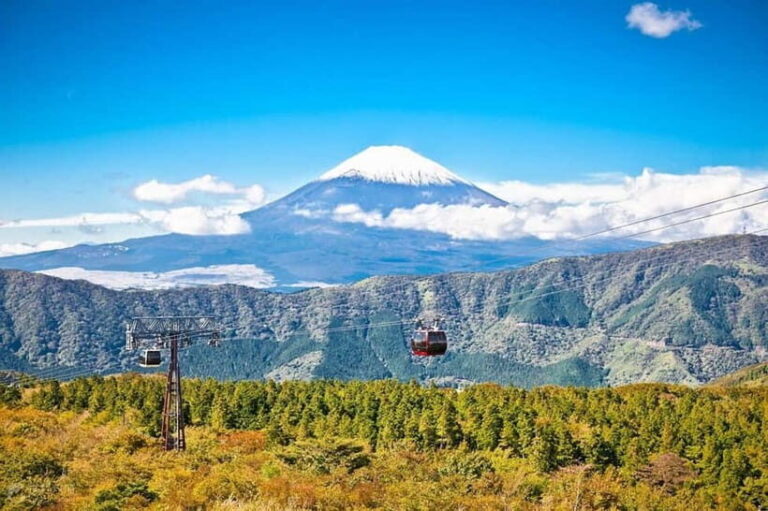 Mt.Fuji Hakone Day Tour With Lake Ashi Cruise, FREE Ropeway - What’s Included and What’s Not