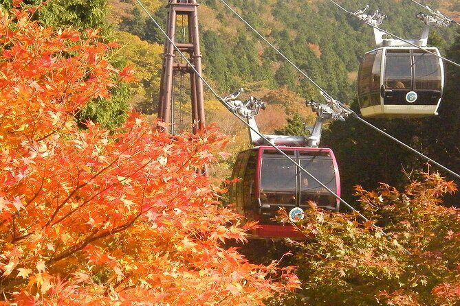 Mt. Fuji & Hakone: Fuji Sengen Shrine, Cruise, and Ramen-Making - The Itinerary Breakdown: What Makes Each Stop Special (and Not)