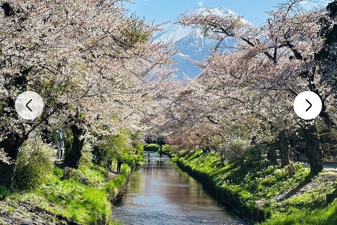 Mt. Fuji, Hakone Full-Day Private Tour with English Driver Guide - The Value for Money