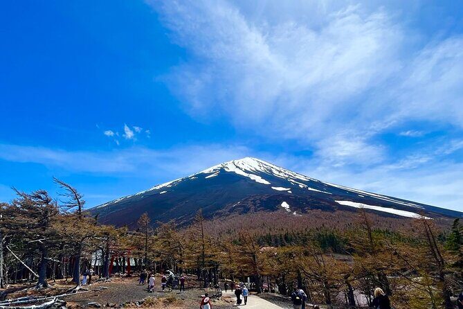 Mt. Fuji & Hakone Tour Tokyo hotel pick-up by Grayline - What Travelers Are Saying