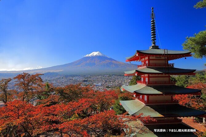 Mt.Fuji, Oishi Park & Arakurayama Sengen Park Bus Tour From Tokyo - The Value of This Tour