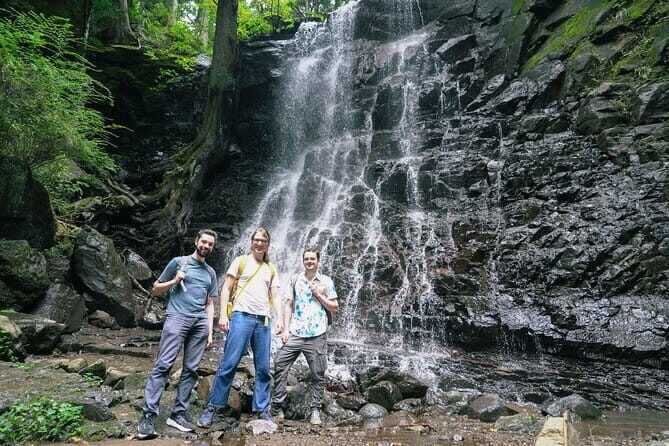 Mt. Fuji Private Chartered Tour with Nature & Wasabi Farm - The Experience and Its Value