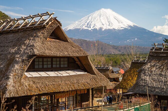 Mt Fuji Private Day Trip from Tokyo with English Speaking Driver - Who Is This Tour Best For?