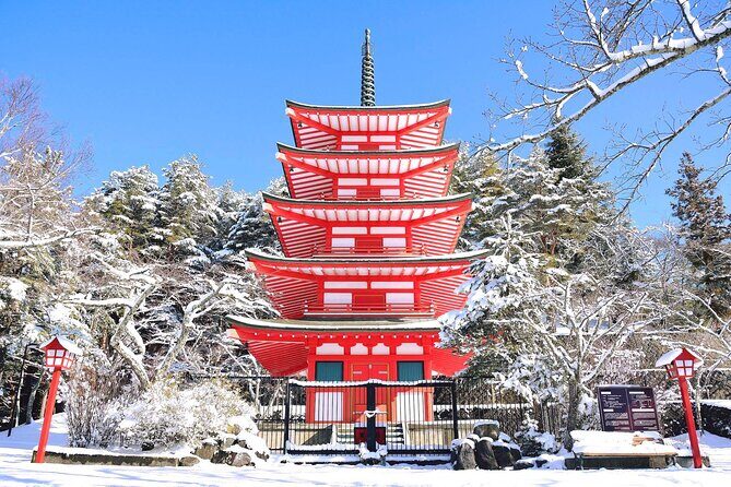 Mt.Fuji Private SightSeeing Day Tour (From Tokyo) - What You’ll Get and What You Might Miss