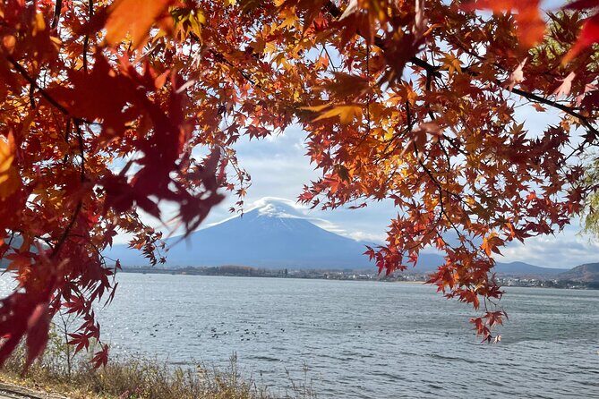 Mt. Fuji Private Tour with English Speaking Driver - What Travelers Say About This Tour
