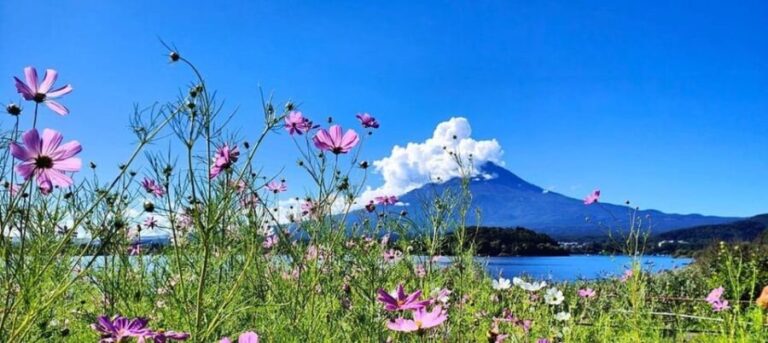Mt. Fuji Private Tour With Hotel Pick Up From Tokyo - What to Expect from the Experience