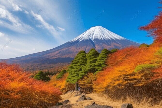 Mt Fuji Private Tour with Native Japanese Driver - What Real Travelers Say