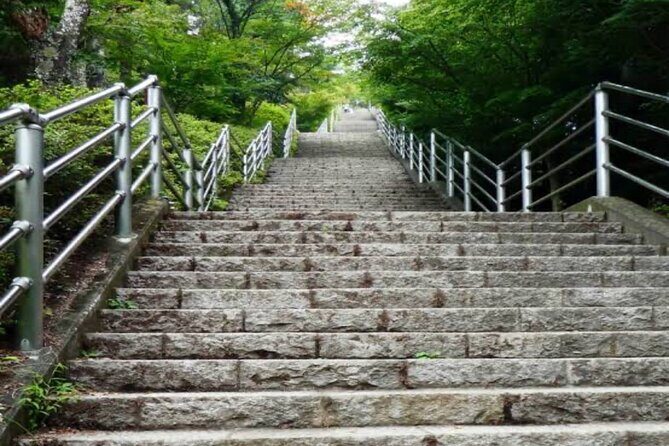MT FUJI with Private Tour - Arakurayama Sengen Park