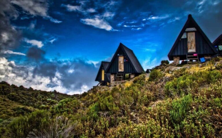 Mt.Kilimanjaro: 5-Day Marangu Route Trekking - What’s Included and What You Should Budget for