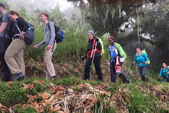 Mt Kilimanjaro Climbing; 6 Days Machame route - The Itinerary Breakdown: What Makes Each Day Unique