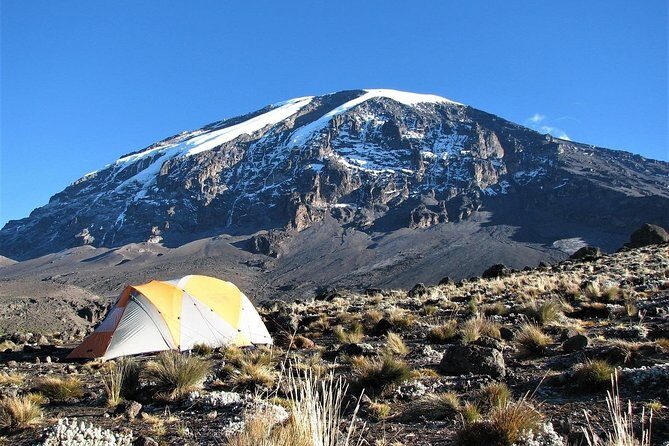 Mt Kilimanjaro Climbing; 7 Days Lemosho Route - What the Tour Includes and What to Keep in Mind