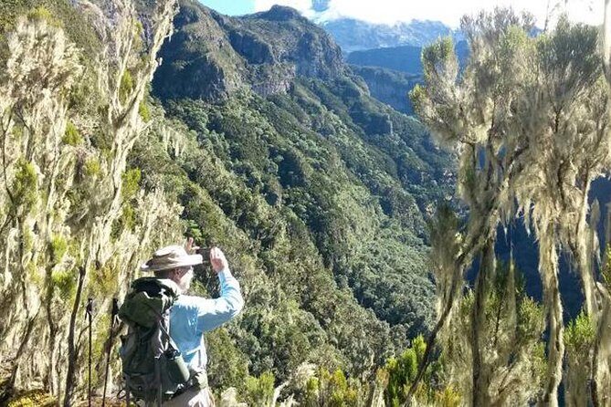 Mt Kilimanjaro Day Hike - The Rainforest Trek: An Enchanting Start