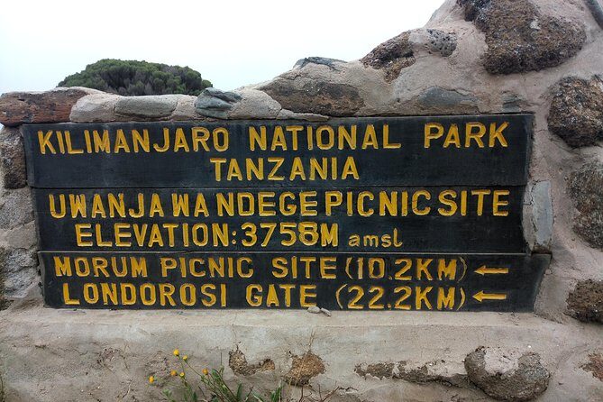 Mt. Kilimanjaro Day Hiking - An In-Depth Look at the Kilimanjaro Day Hiking Experience