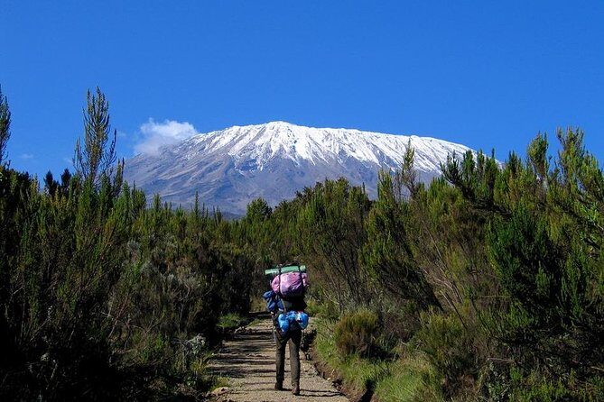 Mt.kilimanjaro-machame Route - What Makes This Tour Stand Out?