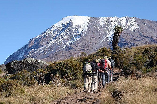 Mt.kilimanjaro-marangu Route - Day 2: Moving to Horombo Hut