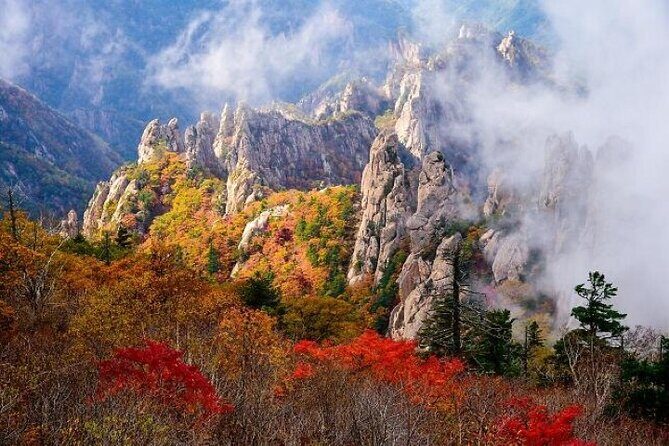 Mt.Seorak & Naksan Temple Day Trip from Seoul - What’s Included and What’s Not
