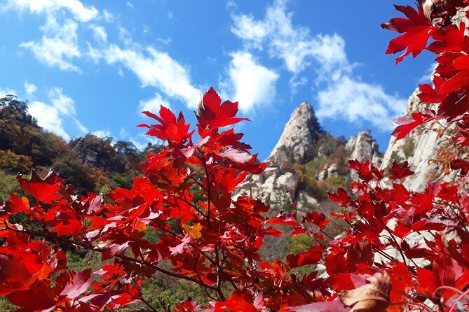 Mt. Seorak+Nami Island+Garden of Morning Calm Day Trip from Seoul - The Value for Money