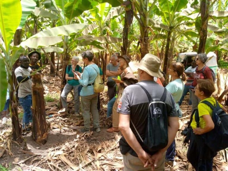 Mto wa Mbu: Village Cultural Tour with Local Market Visit - A Complete Look at the Mto wa Mbu Village Tour