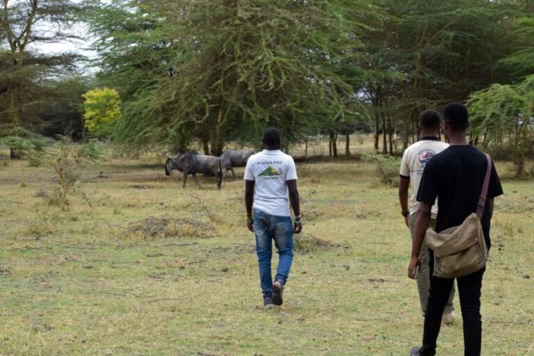 Mto wa Mbu: Waterfall, Maasai Boma, Village, & Balaa Hill - Discovering the Heart of Tanzania: A Practical Breakdown
