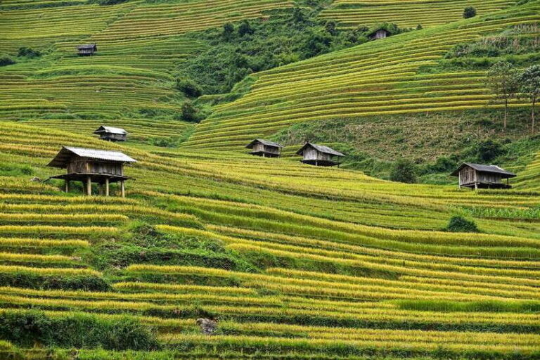 Mu Cang Chai: Motorbike Adventure with Waterfalls & Villages - Practical Tips for Travelers