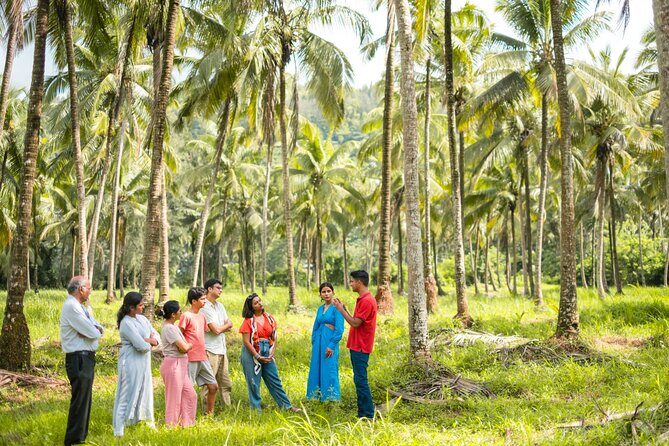Mulgao Folk Village & Coconut Farming Experience - Make It Happen - Visiting the Organic Coconut Farm