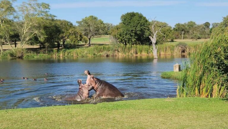 Multi-day Golf & Kruger Park Safari Tour from Johannesburg - The Cost and Its Value