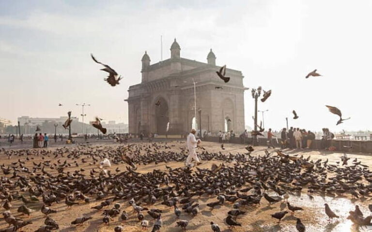 Mumbai Same Day Private City Tour by Car with Local Guide - Colaba Causeway and Local Shopping