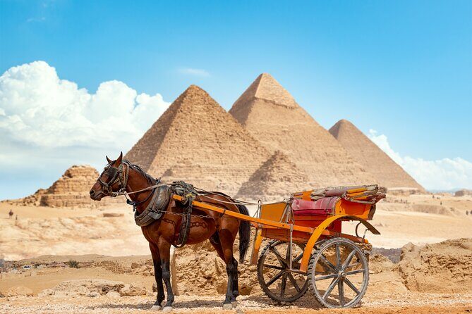 Mummy museum and coptic area and Mohamed Ali mosque - Practical Considerations and What You’ll Experience