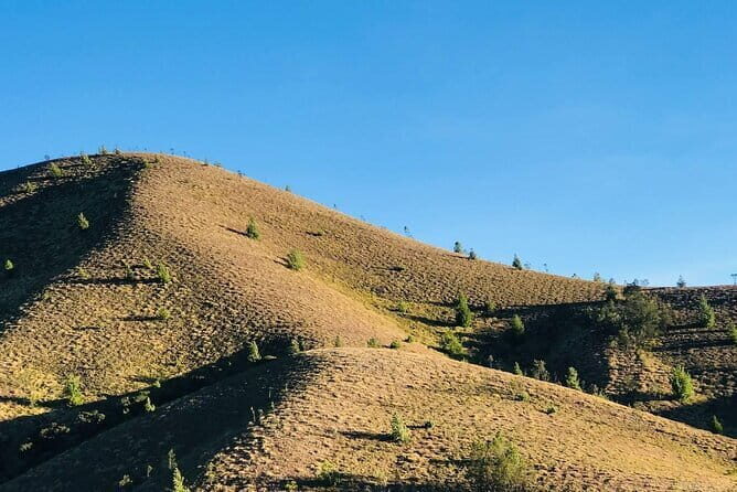 Munnar Daily Tour - Deep Dive into the Itinerary & Highlights