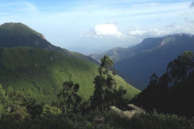 Munnar Tea valley Tour ( By Munnar Info) - A Detailed Look at the Munnar Tea Valley Tour