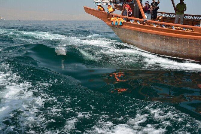 Musandam Khasab Full day dhow cruise with Lunch - The Itinerary: What to Expect from Start to Finish