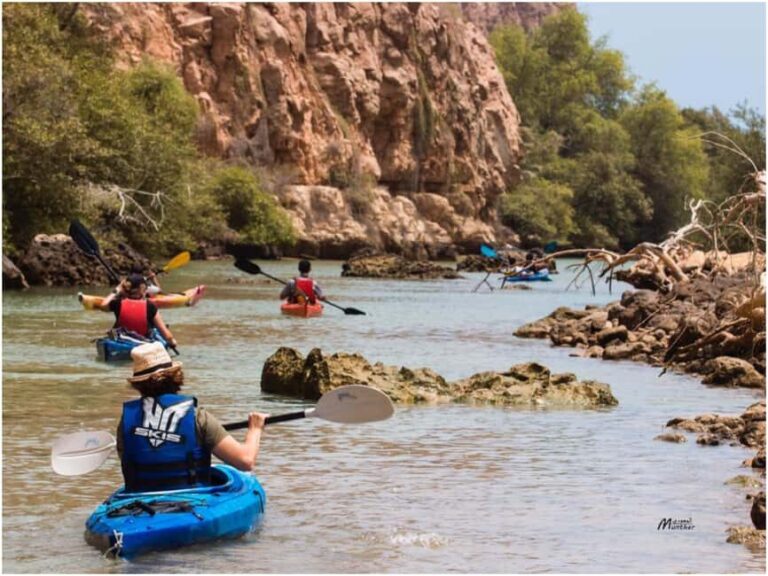 Muscat: Al Qurum Beach Morning Kayaking Experience - What You Can Expect on the Tour