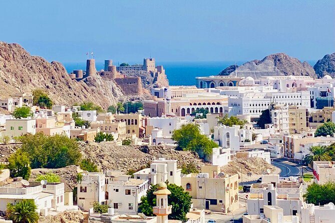 Muscat City Tour with Omani Guide (Private). - Who Will Appreciate This Tour?