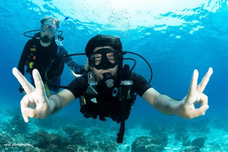 MUSCAT: Daymaniyat Island Snorkeling & Try-Dive + BBQ Lunch - The Sum Up