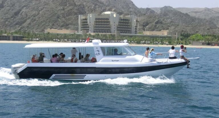Muscat: Dolphin Watching Boat Trip with Snacks - The Comfort and Practicalities