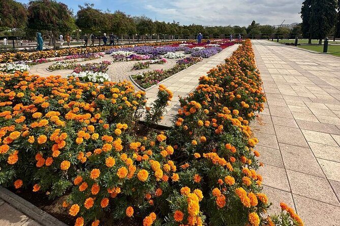 Muscat Hidden Gems Private City Tour with Different Languages - What the Tour Includes and Why It Matters