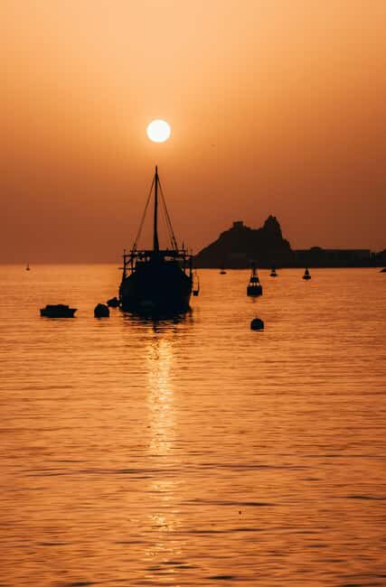 Muscat: Night Tour [ Sightseeing ] - A Step-by-Step Journey Through Muscat’s Evening Landmarks