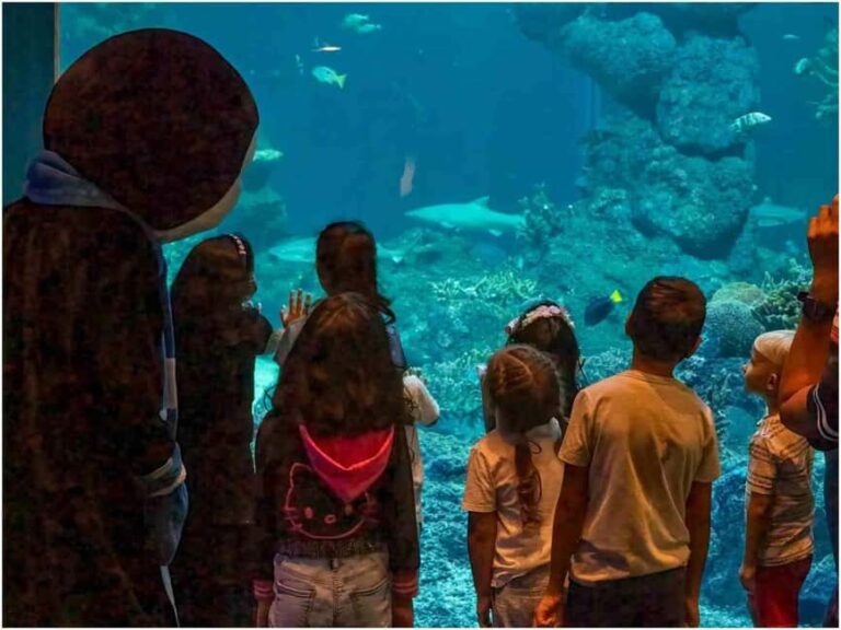 Muscat: Oman Aquarium Entry Ticket - FAQ