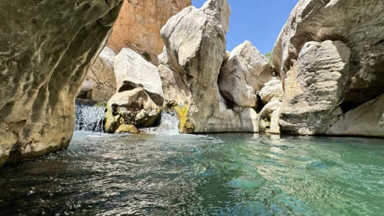 Muscat: Wahiba Desert and Wadi Bani Khalid Guided Group Tour - Why This Tour Offers Great Value