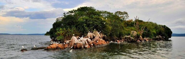 Mwanza: 3-Day Rubondo Island Safari with Chimp Trekking - What Makes This Tour Stand Out