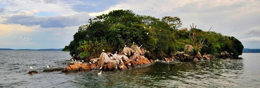 Mwanza: Rubondo Island 5-Day Safari with Meals - Frequently Asked Questions
