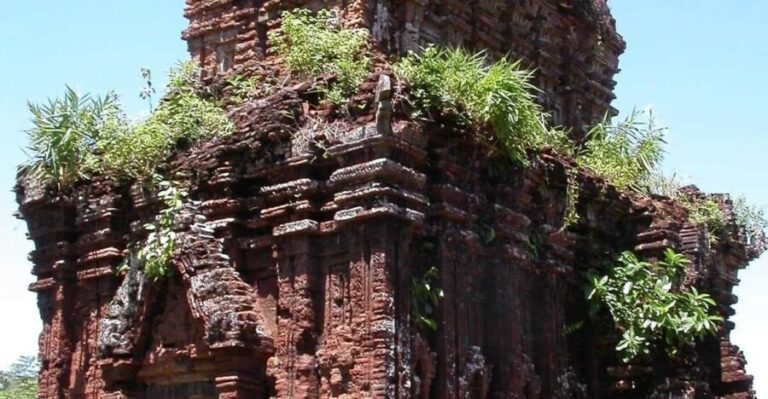 My Son Discovery Tour and Cruise Trip From Hoi An - Who Should Consider This Tour?