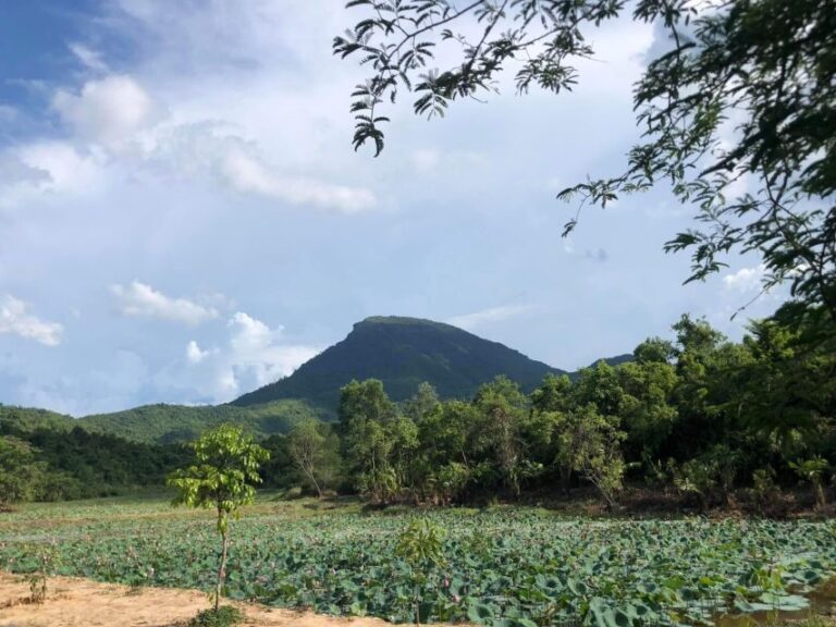 My Son & Mable Mountains: Private Trip From Hoi An/Da Nang - Who Should Consider This Tour?