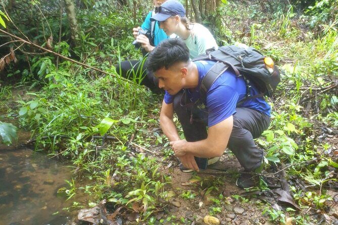 My Son sanctuary and mountain trekking - A Deep Dive into the Experience