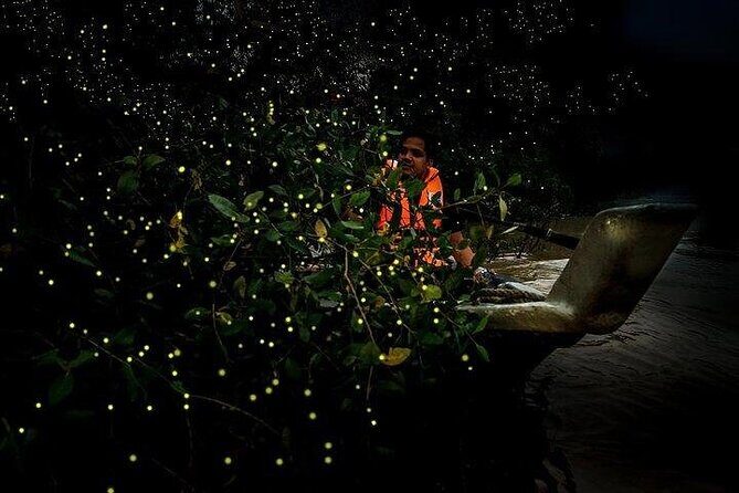Mystical Nights: Fireflies & Blue Tears Adventure - Final Thoughts