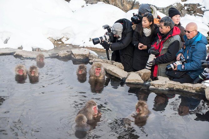 Nagano Private Two Day Tour - Frequently Asked Questions